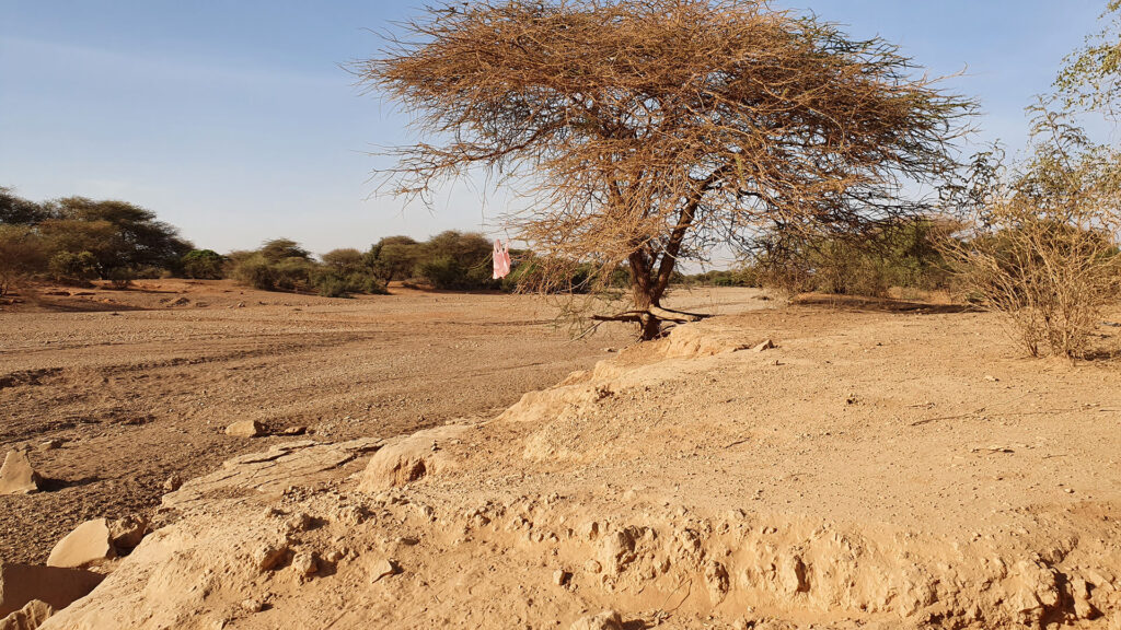 A riverbed has completely dried up in Dollo Ado, Ethiopia. (Photo by Iris Bollemeijer.)