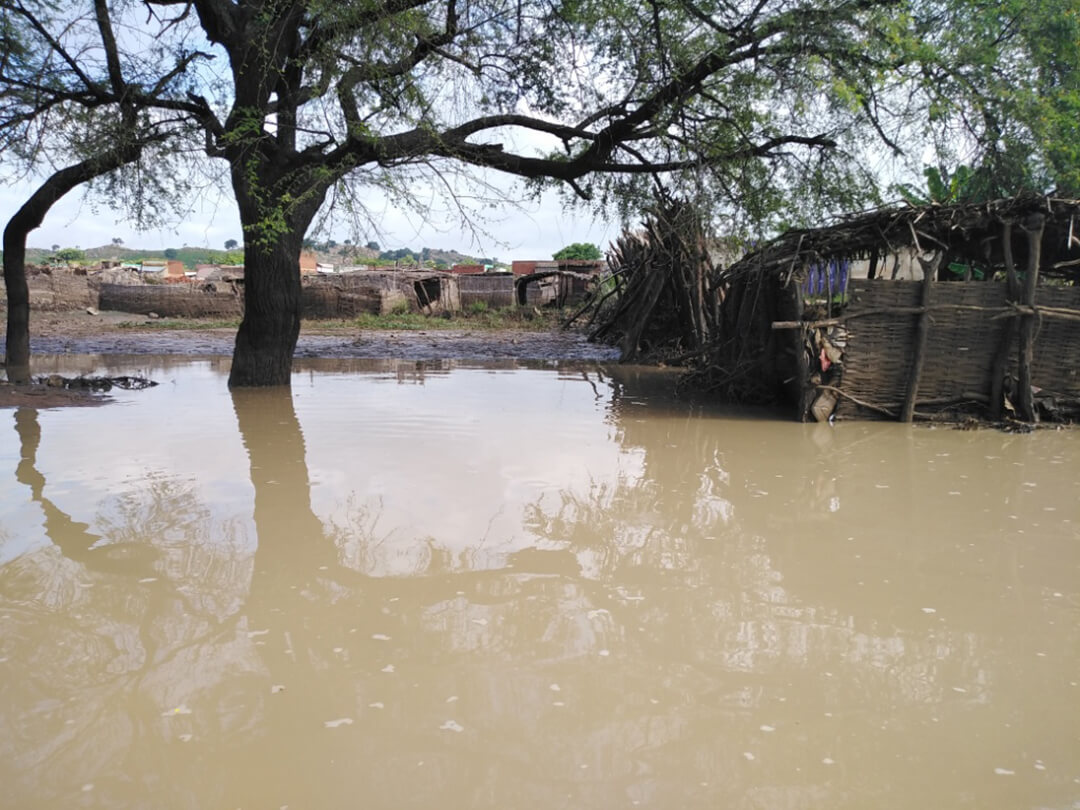 Around 28,000 people have been affected by heavy rains and flash floods in Central Darfur state of Sudan over the past few weeks.