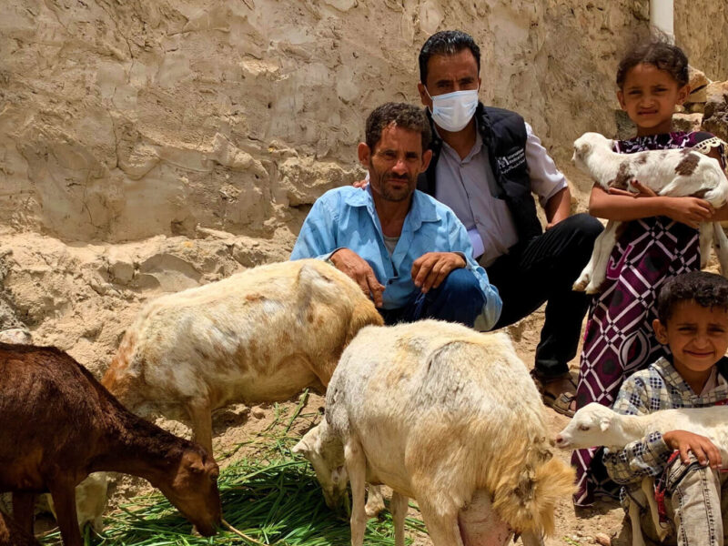 Abduljabbar Ahmed, left, is shown with his new herd of sheep and a member of International Medical Corps' Food Security and Livelihoods team, as well as his daughter Libnan and son Issa.