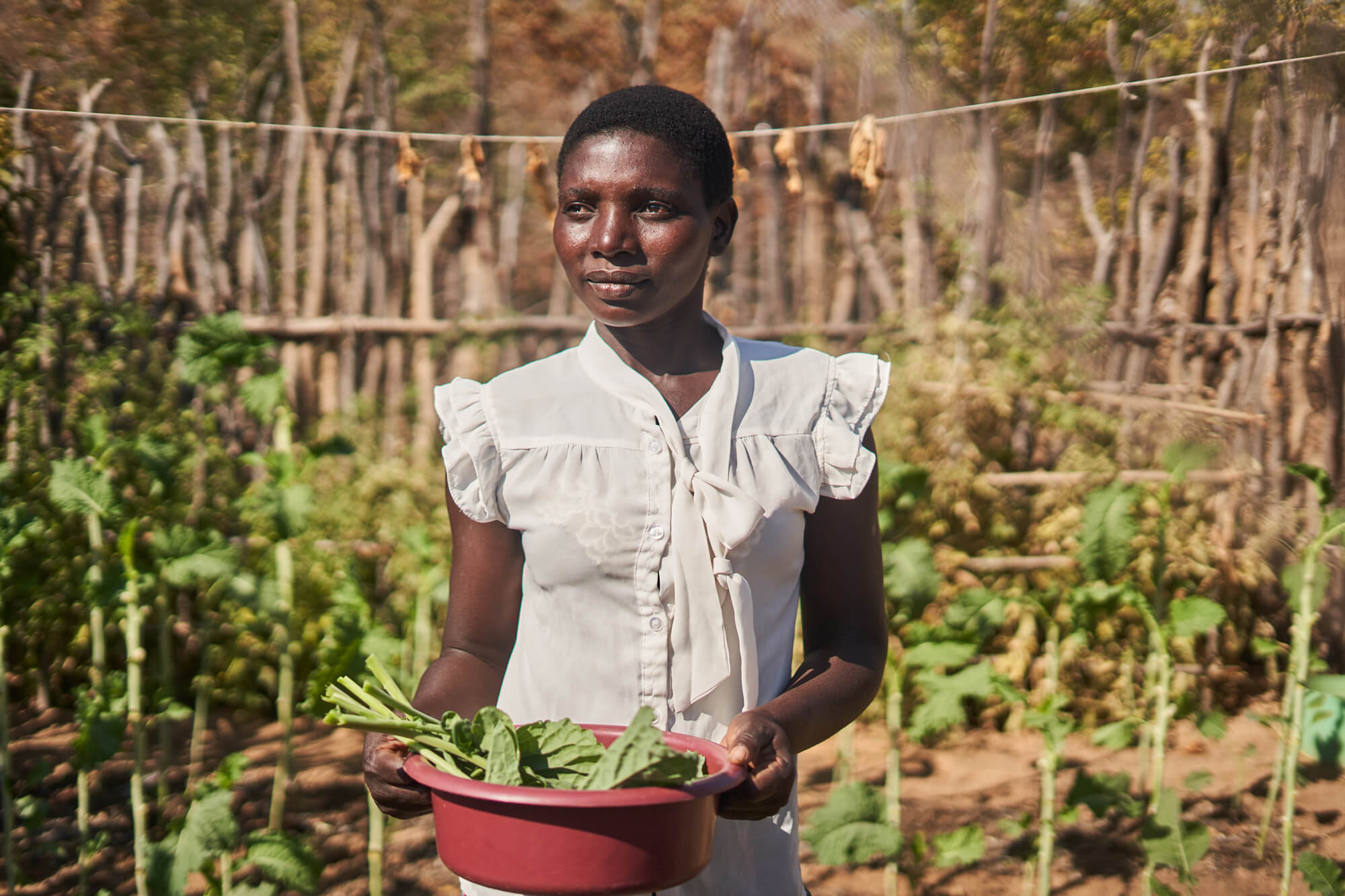 Reason Mwembe, a resident of Chilimbana village, gathers vegetables from her home garden.