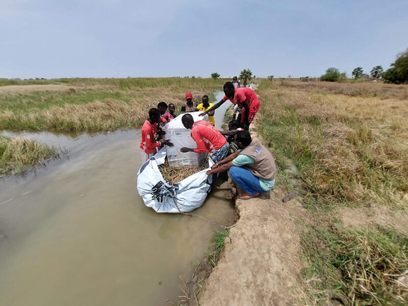 Ahmed-kheyr Moalim Mohamud (in the vest) helps a group of porters transport a vaccine refrigerator on an improvised canoe to Nyandong Health Facility, where International Medical Corps works with partners to provide nutrition services.