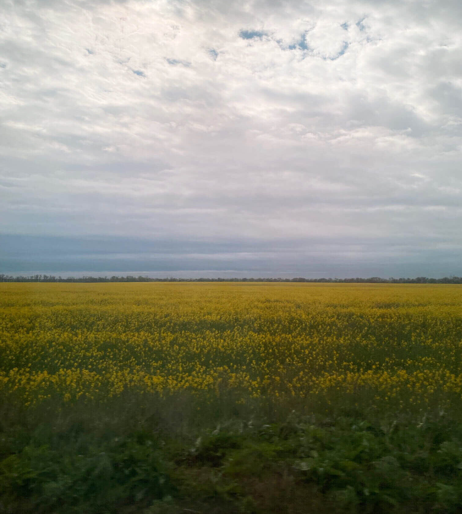 Ukraine’s vast swathes of farmland stretch as far as the eye can see.