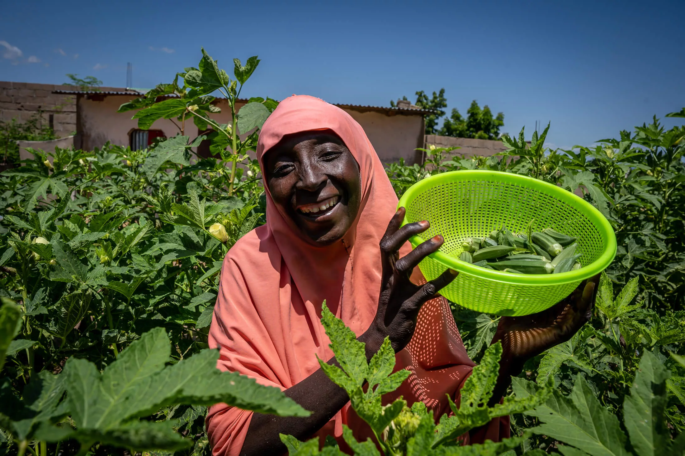 Fati Garba showcases some of the okra she grows on her farmland.